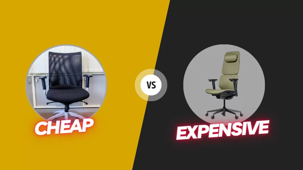 Cheap vs Expensive Ergonomic Chairs